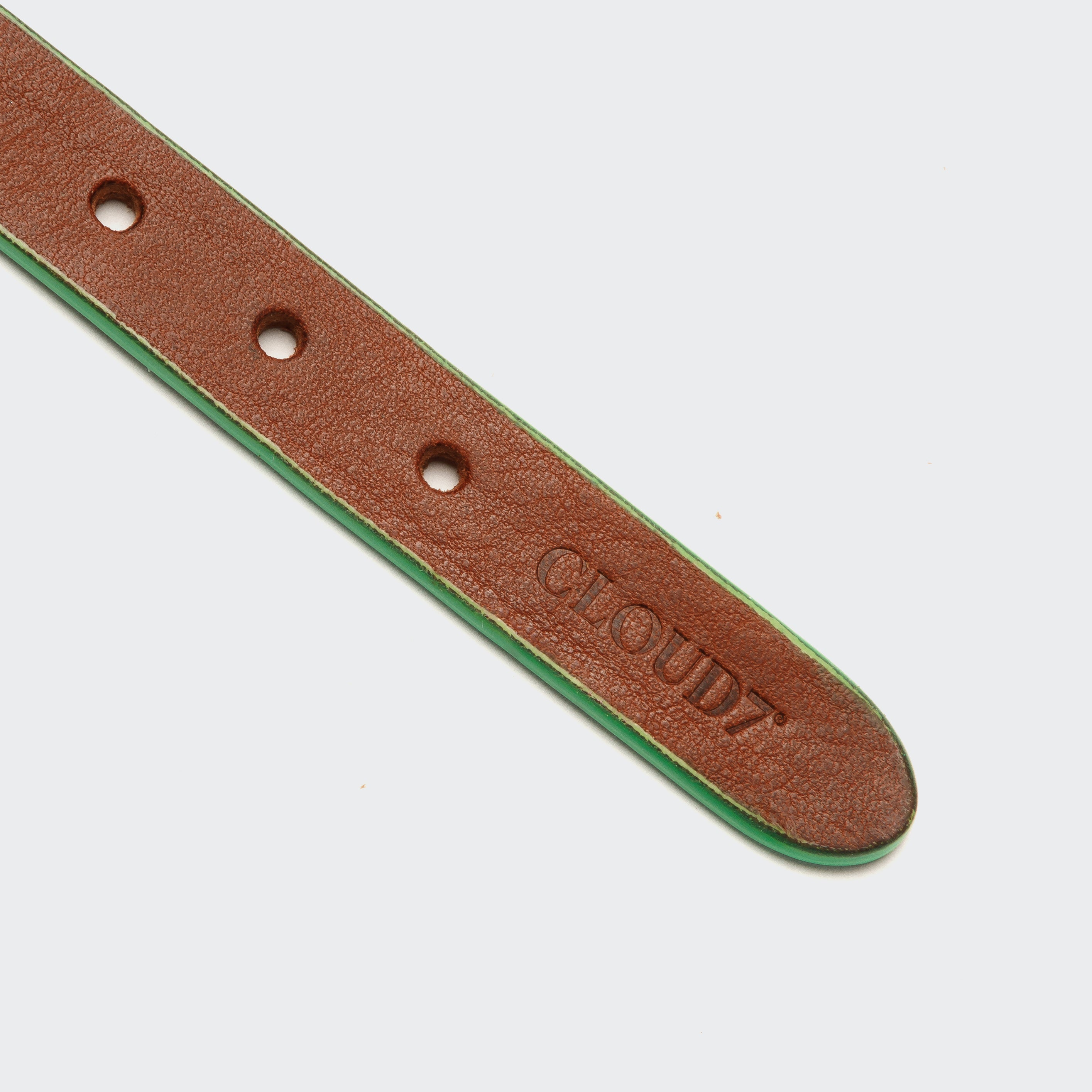 Dog Collar Prince Park Cognac Green_3