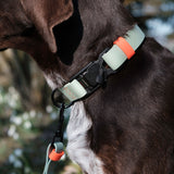 Dog Collar BioThane Ipanema Mint-Neon Orange