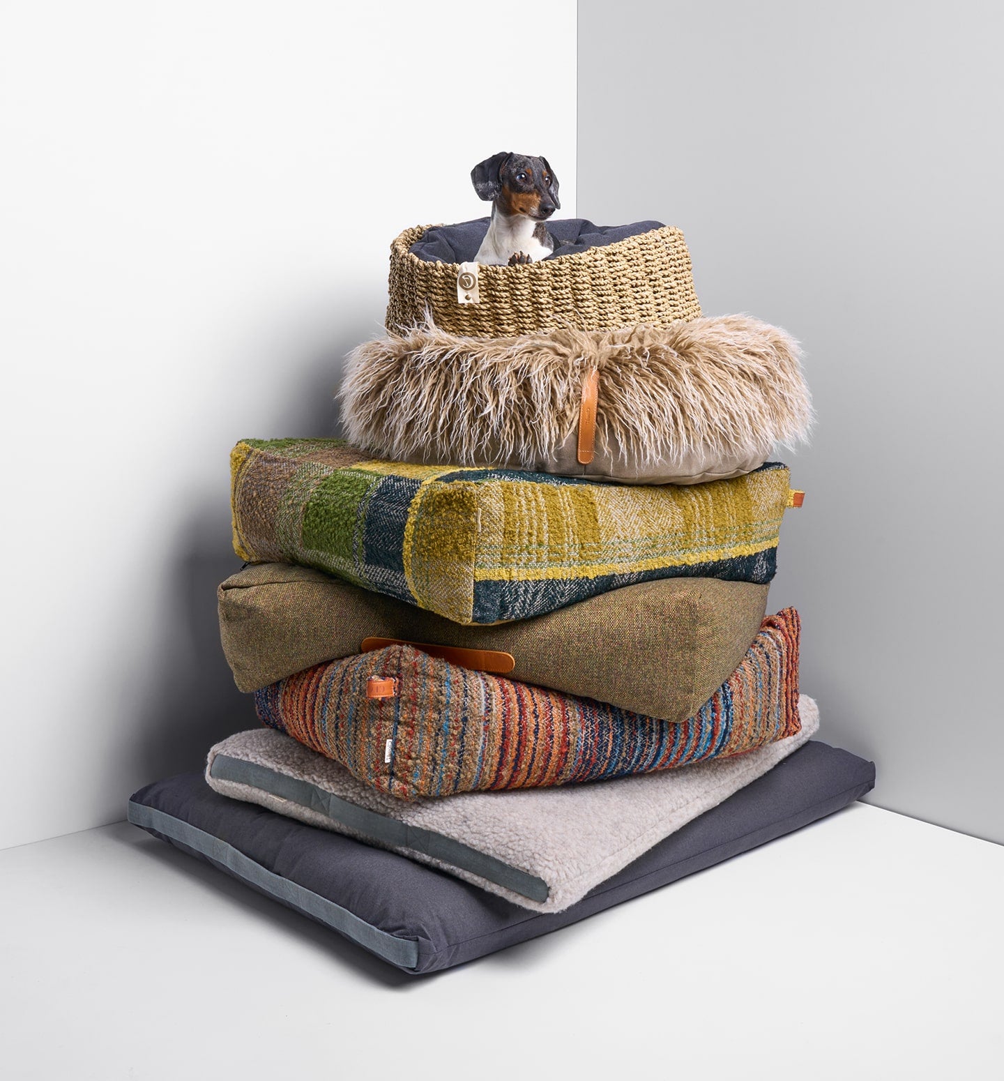 Pile of different style dog beds with a dachshund sitting on top of it