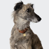 Hundehalsband Hyde Park Cognac