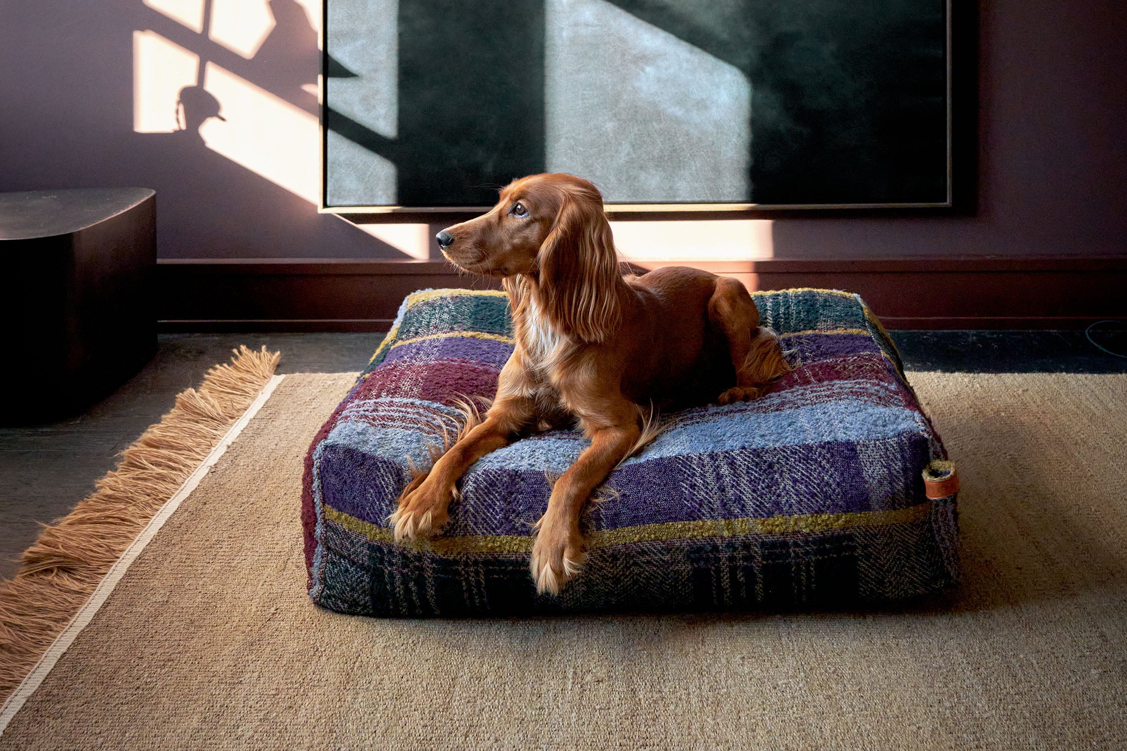 dog sitting on dog cushion ''cube''
