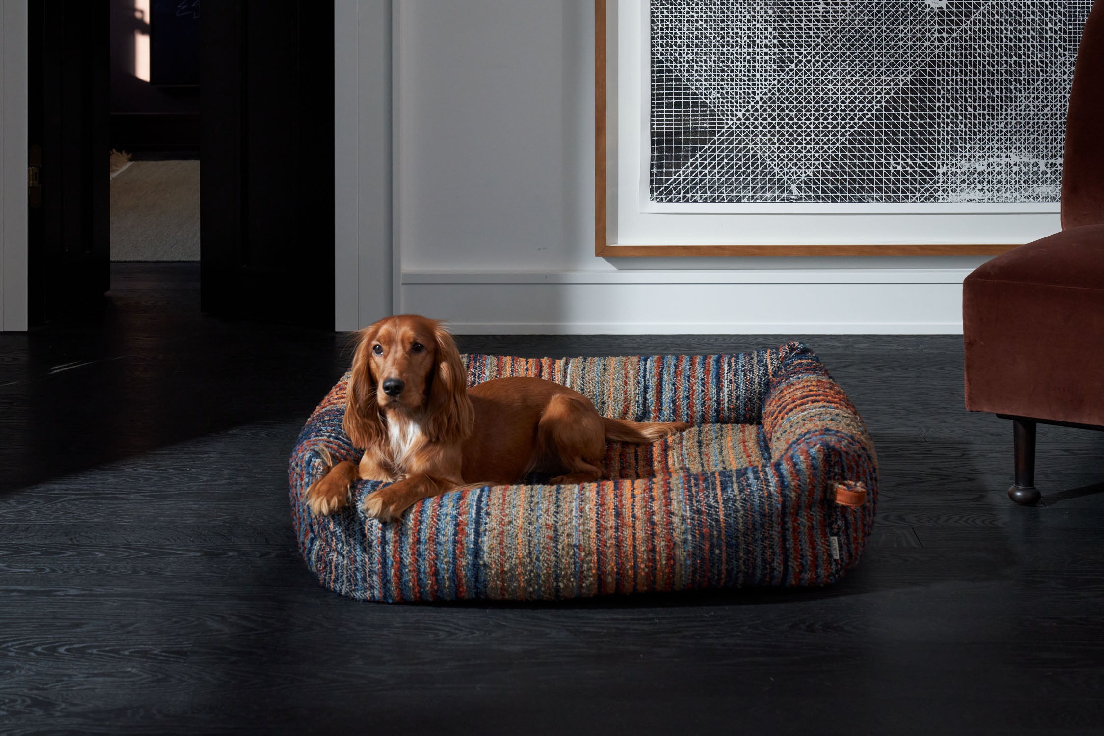 Dog sitting in Sleepy Deluxe dog bed