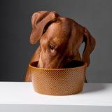 Dog Bowl Alain Cinnamon