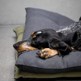 dog sleeping on resc7ue dog cushion bed in dark grey