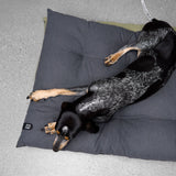 dog sleeping on resc7ue cusion bed in dark grey