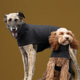 Hundemantel Brooklyn Flannel Windhund Anthra