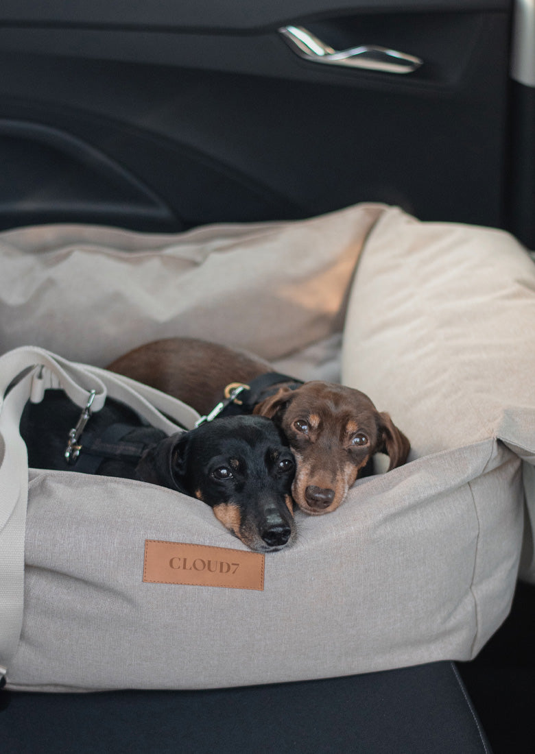 Two dachshunds laying in cloud7 Carseat Getaway