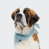 Dog Bandana Mini Check Blue