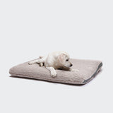 Dog Bed Siesta Teddy