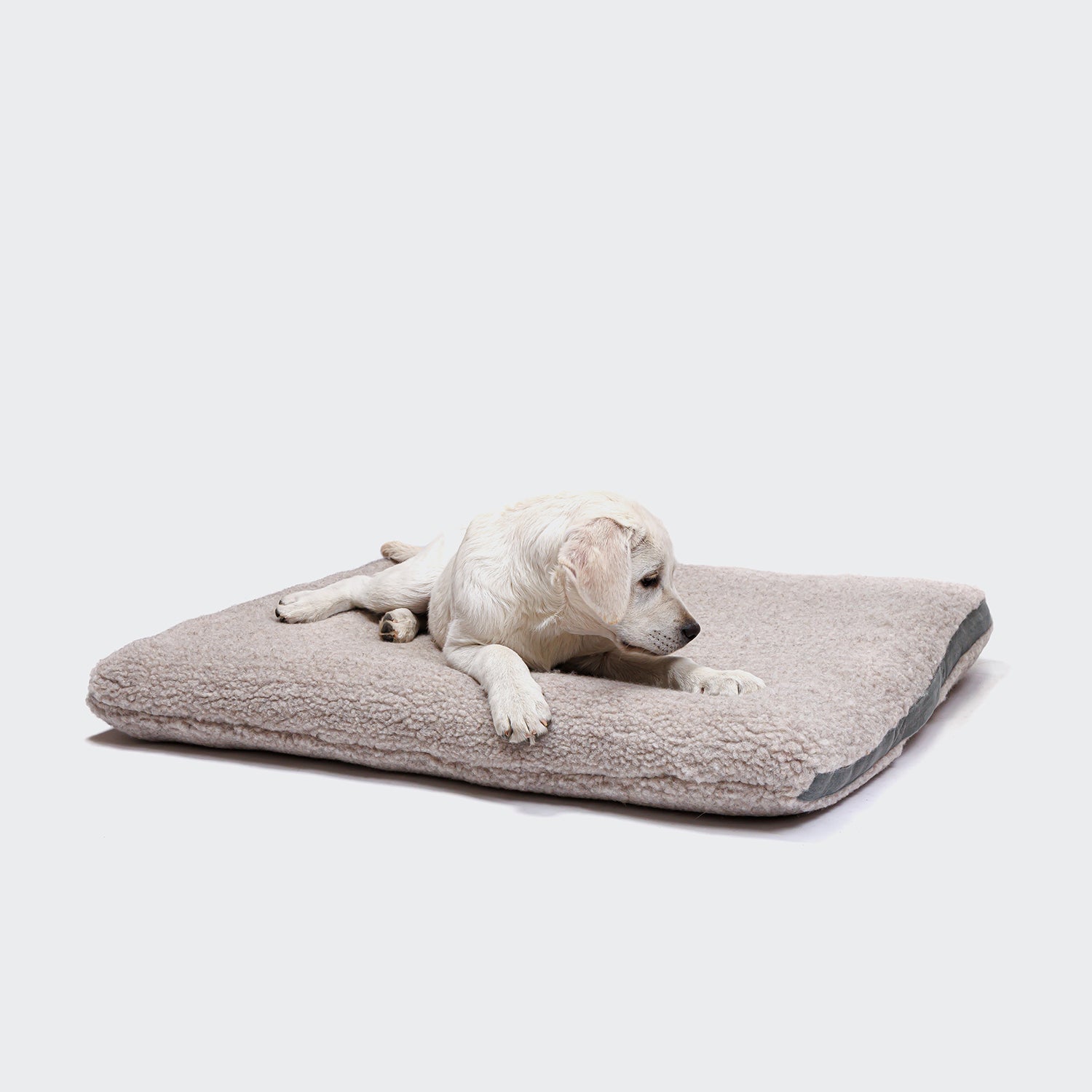 Buy Dog Bed Siesta Teddy online - Main Image