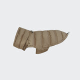 French Bulldog Coat Alaska Sandy Brown