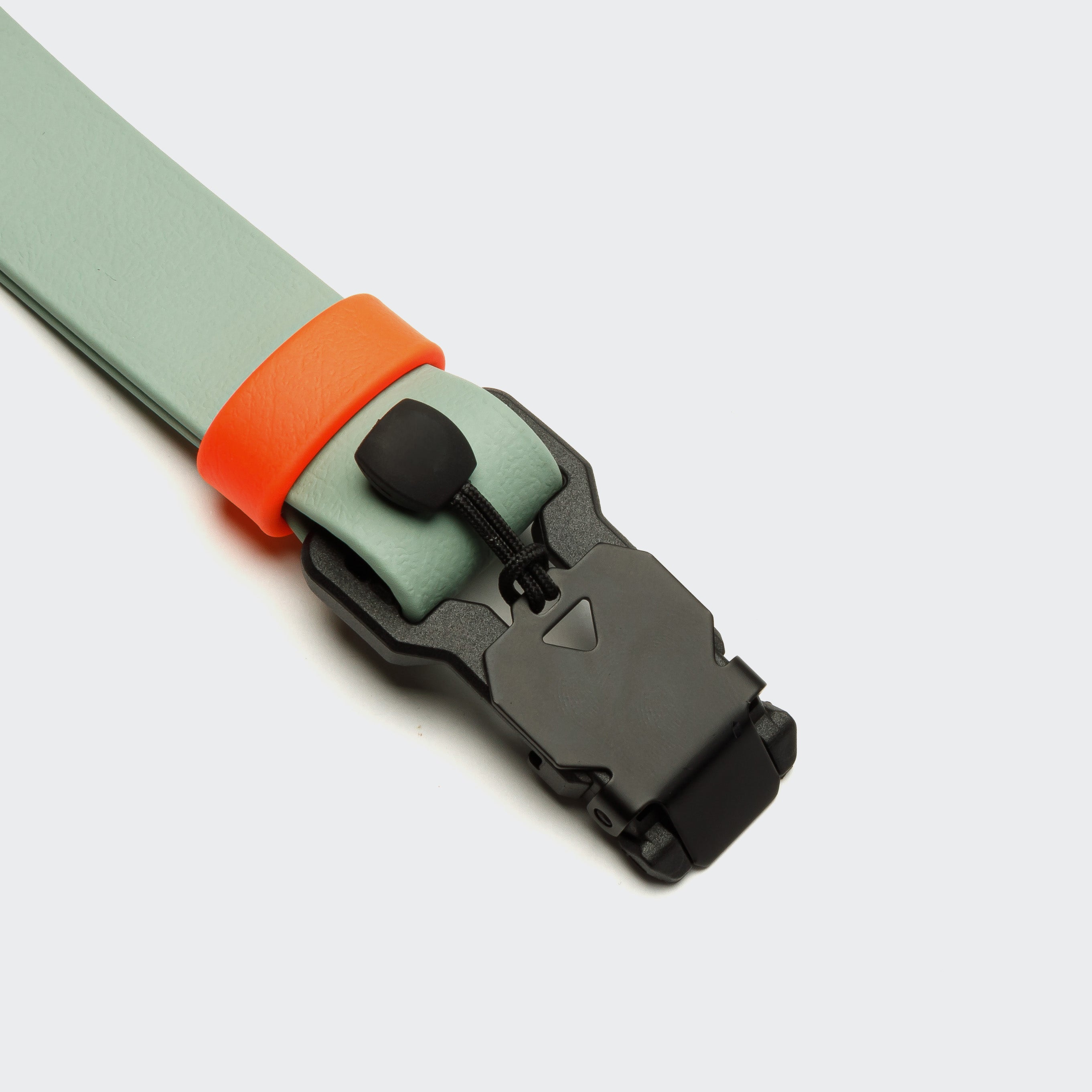 Detail of Dog Collar Biothane Mint