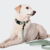 Dog Collar BioThane Ipanema Mint-Neon Orange