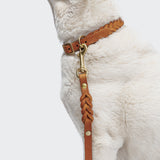 Hundeleine Riverside Park Camel Gold