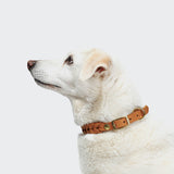 Hundehalsband Central Park Camel Gold