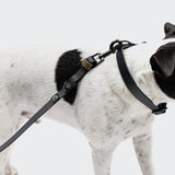 Hands Free Dog Leash BioThane Ipanema Black-Olive