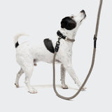 Dog Leash Mauerpark Zigzag Black