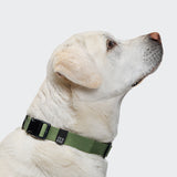 Nylon Dog Collar RESC7UE Green