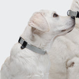 Nylon Dog Collar RESC7UE Silver
