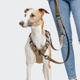 L-1 Hands-Free Leash AKTIV Khaki/Grey