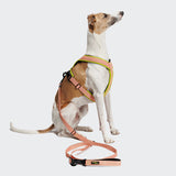 L-1 Freihandleine AKTIV Peach