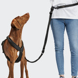 L-2 Jogging-Leash AKTIV Black