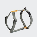 Dog Harness Madeira in Grey
