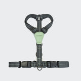 Dog Harness Madeira Mint 3