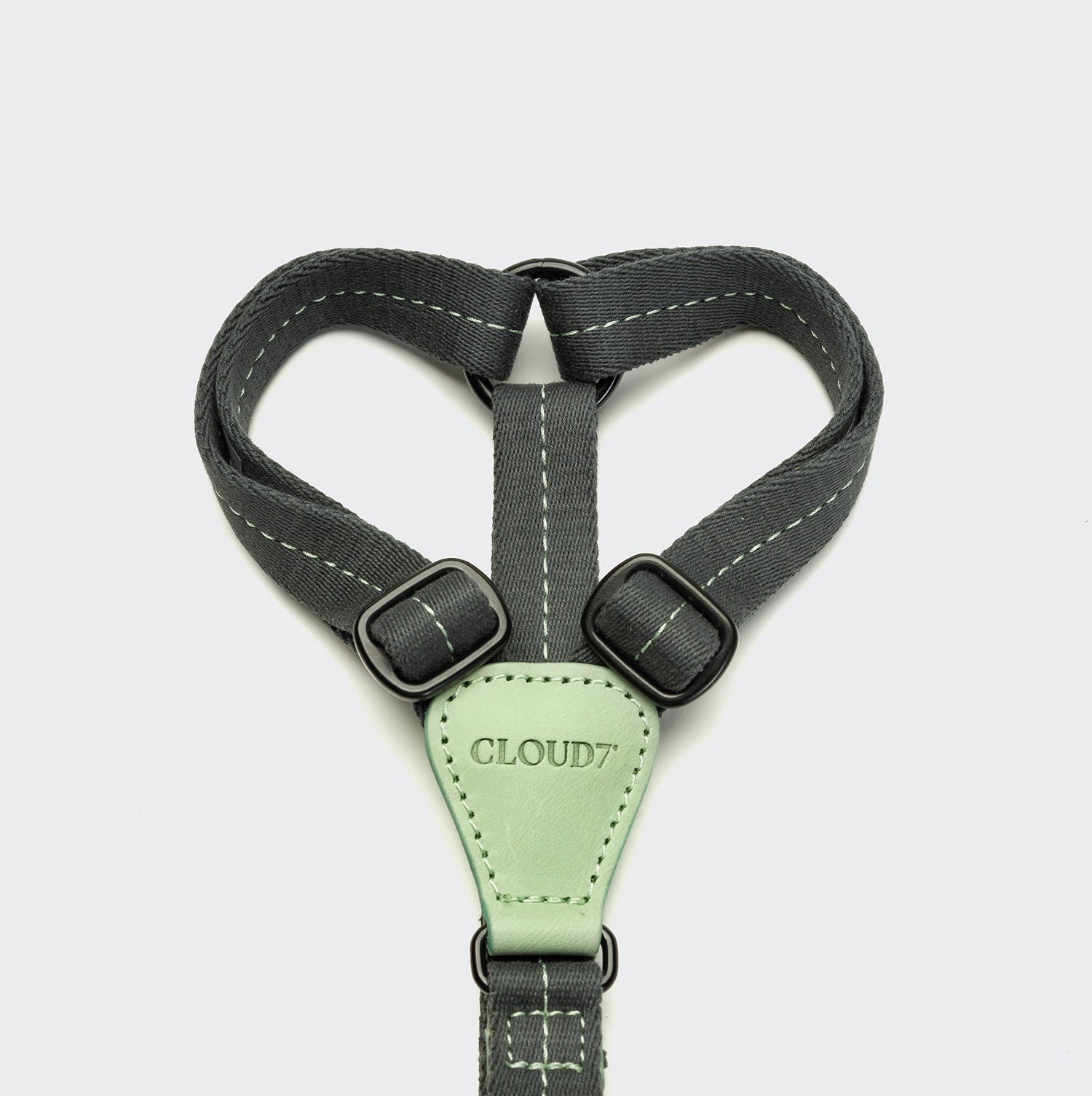 Dog Harness Madeira Mint 2