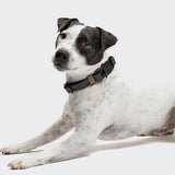 Dog Collar BioThane Ipanema Black-Olive