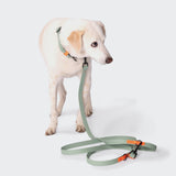 Hands Free Dog Leash BioThane Ipanema Mint-Neon Orange