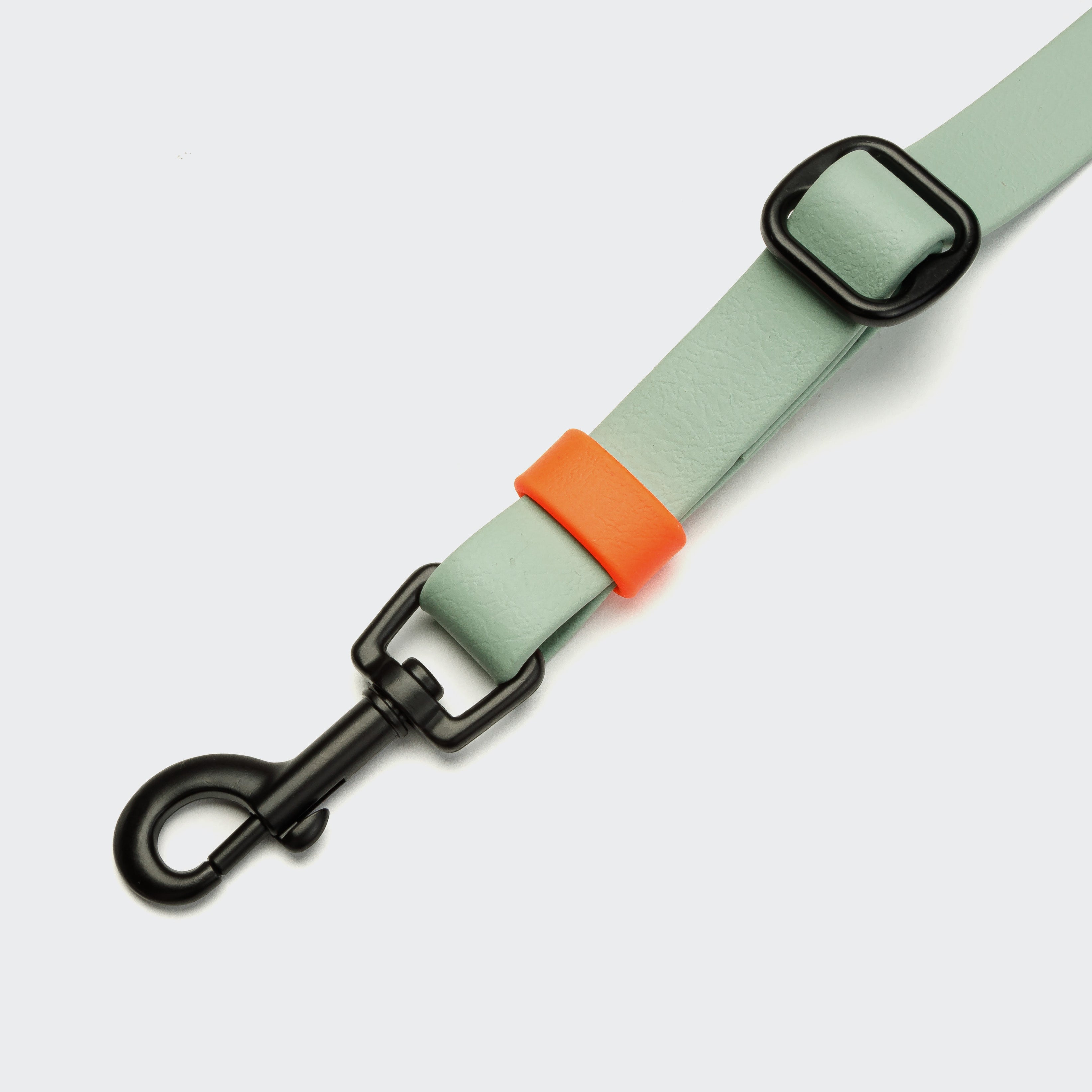 Detail of Dog Hands Free Leash Biothane Mint