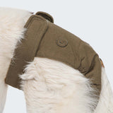 Dog Panties Olive