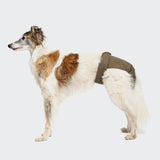 Dog Panties Olive