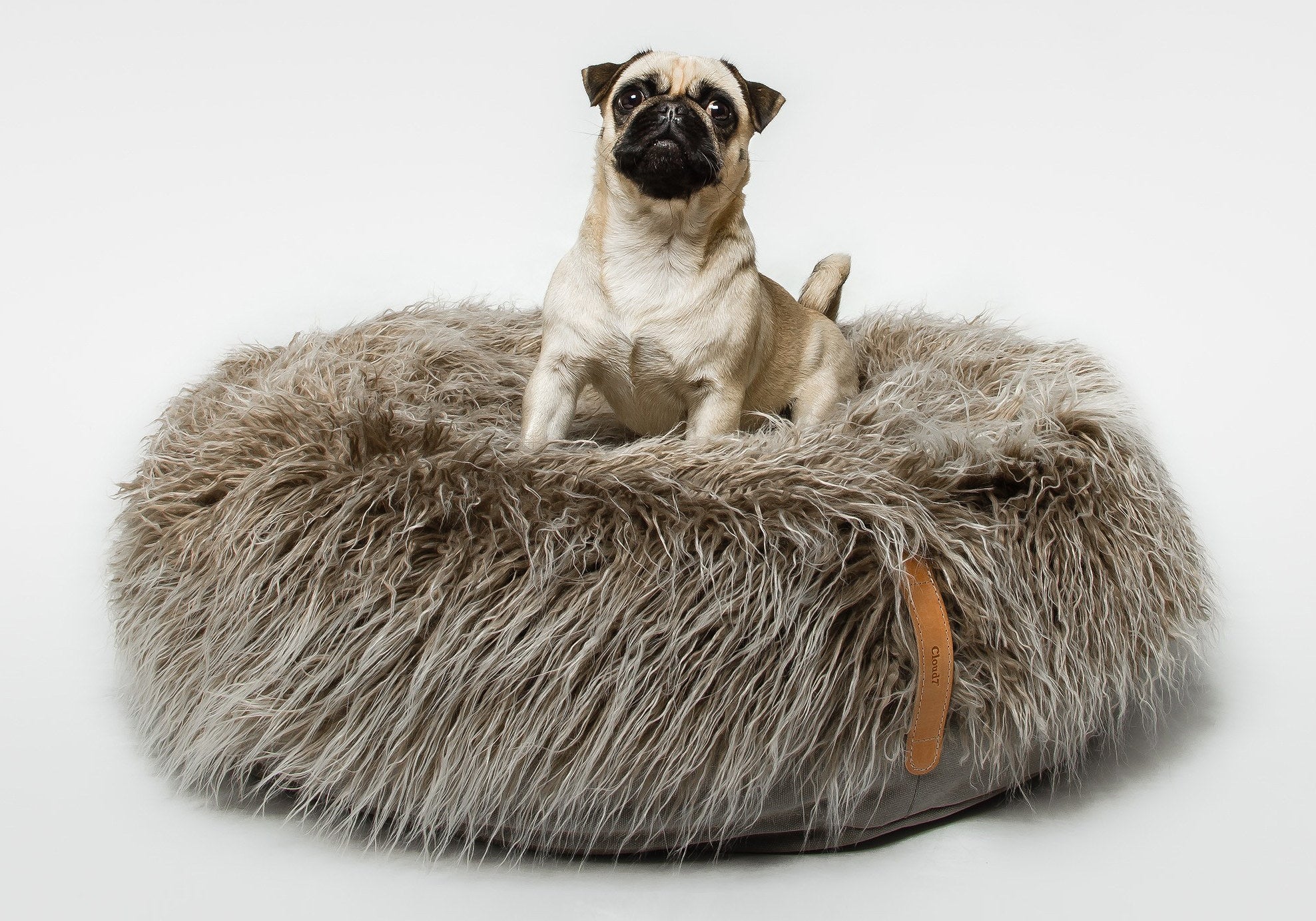 Mops sitzt auf rundem flauschigem Hundebett im Pouf-Stil