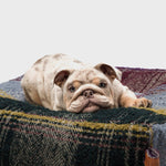 Wechselbezug Hundebett Cube Tartan Purple