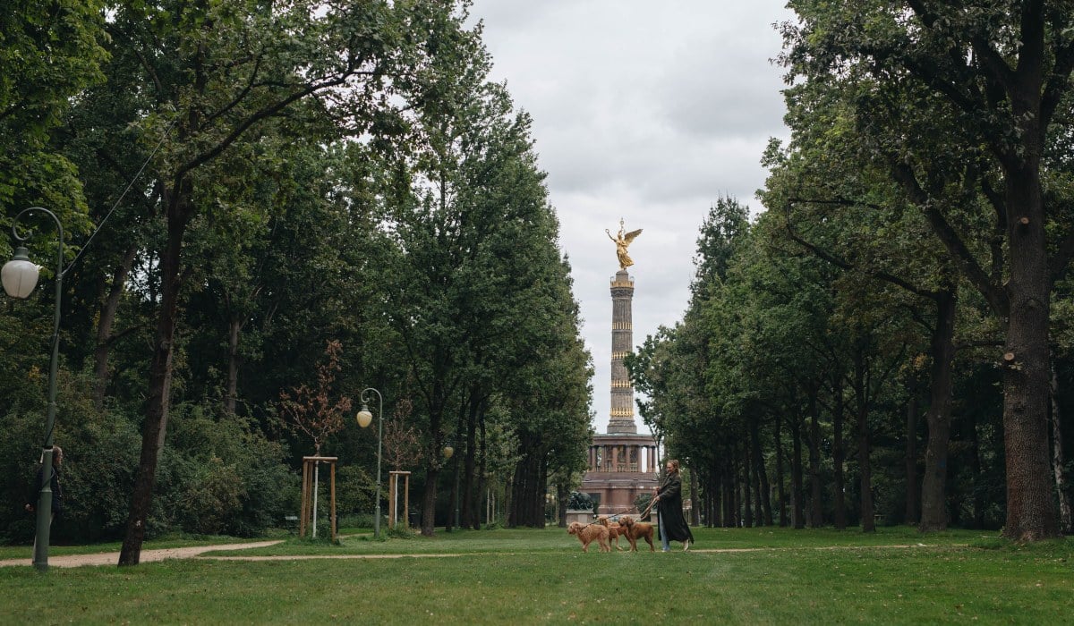 HUNDEAUSLAUF IN UND UM BERLIN