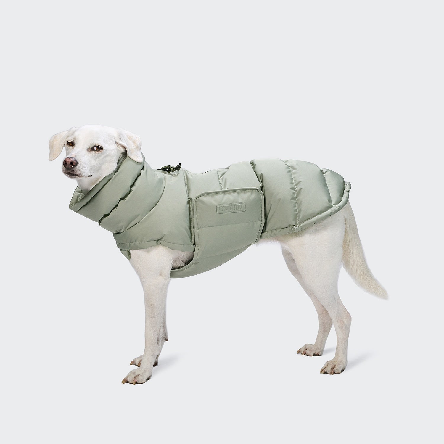 Ein weißer Hund trägt einen Hundemantel in der Farbe „Alaska Dusty Mint“ und steht mit dem Kopf nach links gewandt vor einem schlichten, hellgrauen Hintergrund.