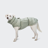 Ein weißer Hund trägt einen Hundemantel in der Farbe „Alaska Dusty Mint“ und steht mit dem Kopf nach links gewandt vor einem schlichten, hellgrauen Hintergrund.