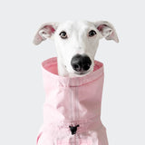 Dog Raincoat AKTIV Peach/Neon Pink