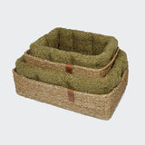 Dog Basket Hideaway Curl Green