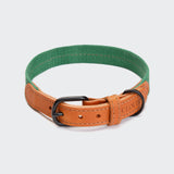 Dog Collar Madeira Amber