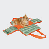 Dog Carrier Montreal 2-in-1 Burnt Orange