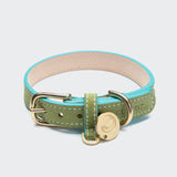 Hundehalsband Tiergarten Lime Green/Aqua