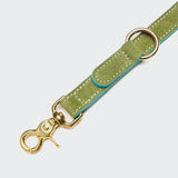 Dog Leash Tiergarten Lime Green/Aqua