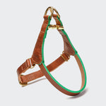 Dog Harness Prince Park Cognac Green_1