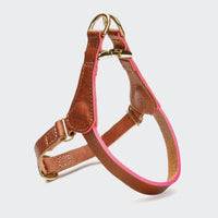 Hundegeschirr Prince Park Cognac/Pink_2