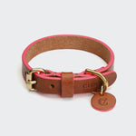 Dog Collar Prince Park Cognac/Pink_1