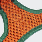 Inside Webbing Detail Dog Harness Holly Park with Animal Print