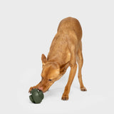 Beschäftigungsspielzeug Zeno Dark Olive